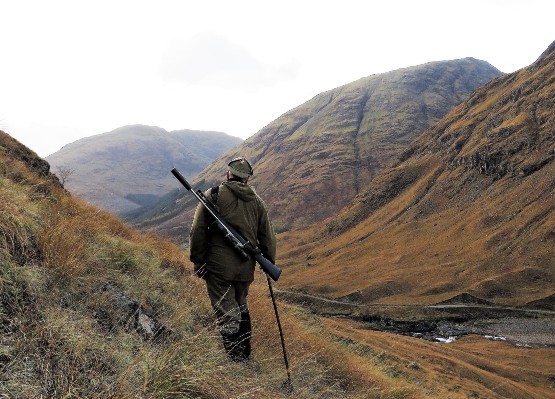 Deer Management Qualifications Scotland