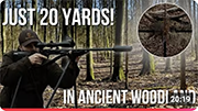 Hunting Ancient Woodland