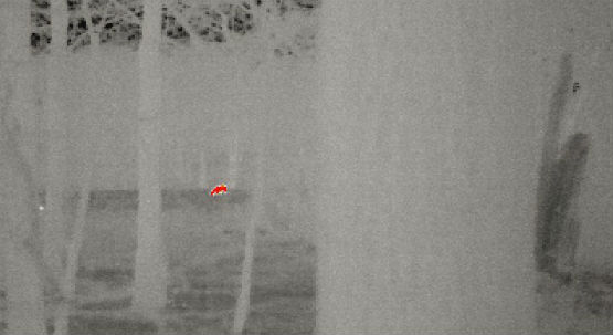 Thermal 4
